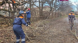 27 ноября в Ставропольский краевой общественный поисково-спасательный отряд поступила заявка - аварийное дерево