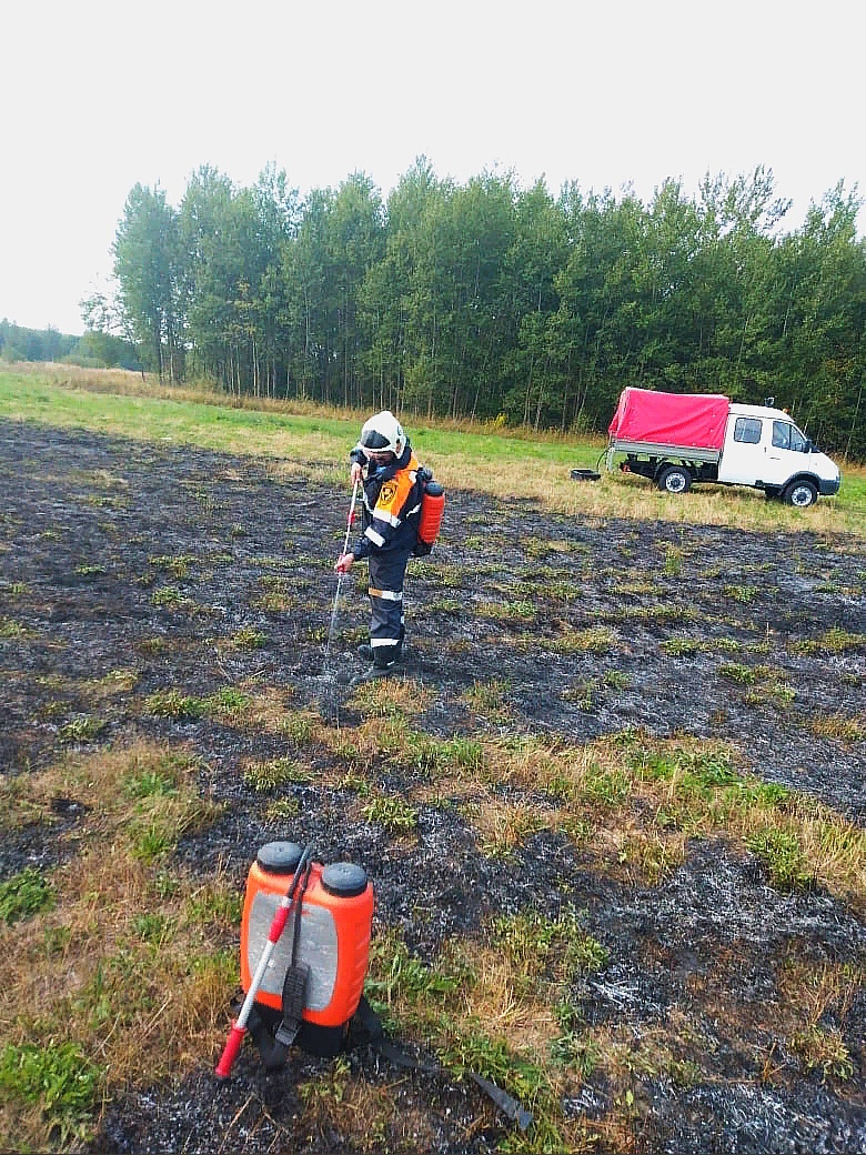Спасатели предотвратили пожар в деревне Новая Быковка