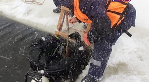 11 января у спасателей Звениговской аварийно-спасательной группы ГБУ РМЭ "МАСС" прошли занятия по водолазной подготовке и тренировочные погружения в заливе протоки Шелангуш р. Волга
