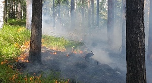 Ликвидация лесных и ландшафтных пожаров на Южном Урале