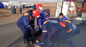 25 ноября поисково-спасательное подразделение КУ Республики Калмыкия "Центр гражданской защиты" приняло участие в штабной тренировке
