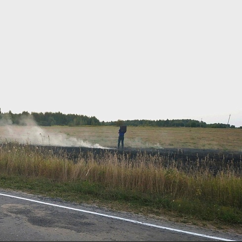 Владимирские спасатели помогают в борьбе с природными пожарами.