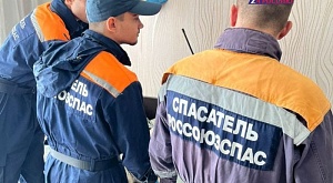 30 октября в Ставропольский краевой общественный поисково спасательный отряд (Ставропольское региональное отделение РОССОЮЗСПАСа) поступила заявка - г. Михайловск ул. Демидова - Социальная помощь