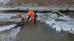 На реке Барнаулка краевого центра спасатели приводили в порядок русло и береговую линию