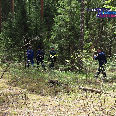 6 июня на территории национально парка «Марий Чодра» Волжского района, проведено тактико-специальное учение по поиску людей, потерявшихся в лесных массивах