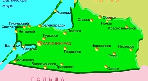 Калининградская область готова к реализации проектов подготовки волонтеров-спасателей