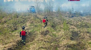 Каждый шестой пожар в лесу происходит по вине человека