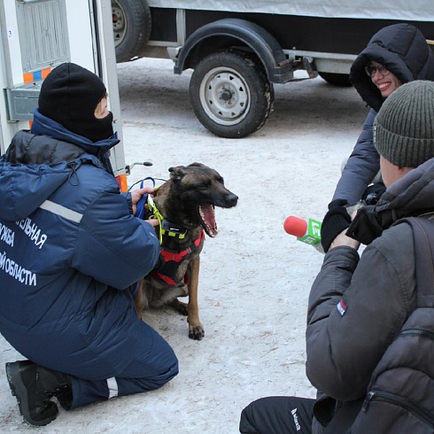 В Челябинске проведена показательная тренировка кинологического подразделения поисково-спасательной службы Челябинской области