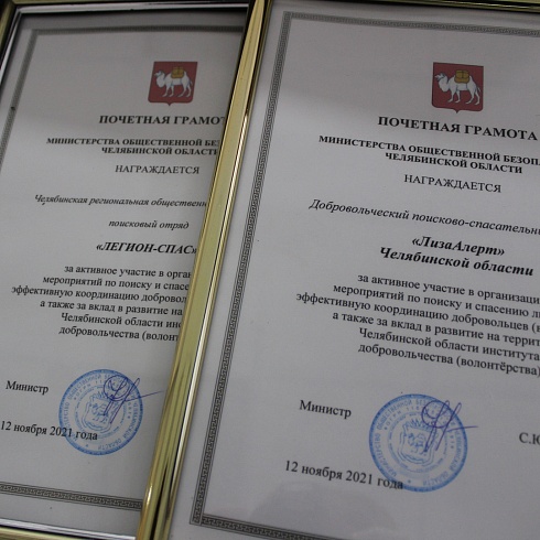 Работа волонтёров и добровольцев-кинологов Челябинской области отмечена грамотами и медалями