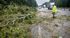 Спасатели  АСФ РОССОЮЗСПАСа Владимирской области освободили трассу М-7 от упавших деревьев