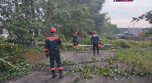 Спасательные и аварийные службы оперативно устранили последствия непогоды в городе Барнауле