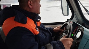 Спасатели в Красноярском крае пришли на помощь стаду косуль