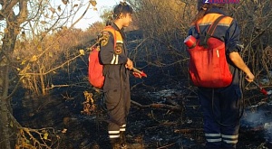 28 сентября в Ставропольский краевой общественный поисково-спасательный отряд поступила заявка - ландшафтный пожар