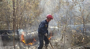 Тушение пожаров на территории Мордовского государственного заповедника «Заповедная Мордовия»
