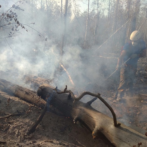 Тушение пожаров на территории Мордовского государственного заповедника «Заповедная Мордовия»