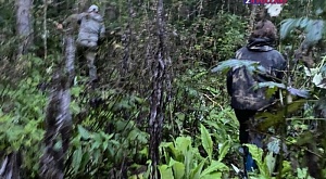 В Таштагольском муниципальном районе заблудились два человека